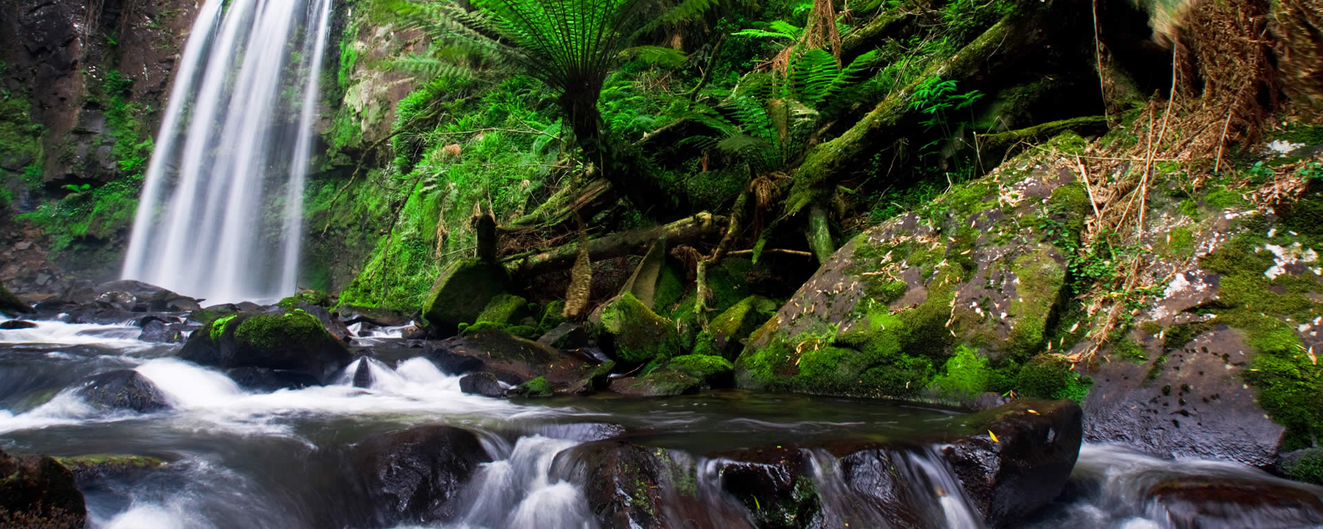 Unsplashed background img 2